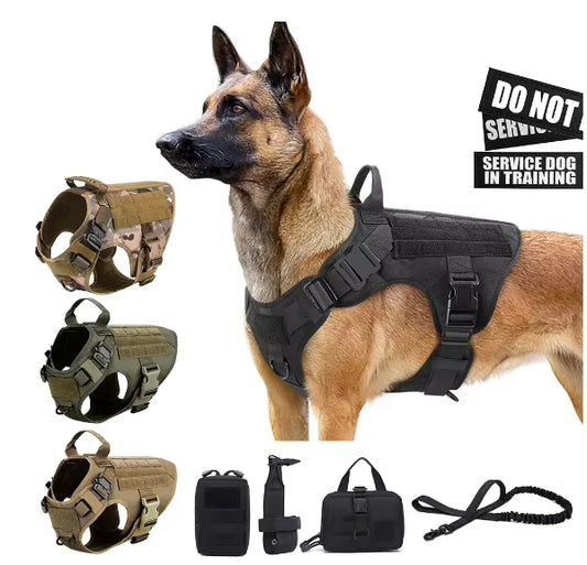 Premium Dog Harness  & Leash Set